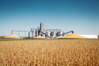 Bilan des Fusions-Acquisitions dans le secteur de l’Agroalimentaire en 2018