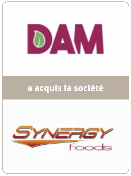 DAM Synergy Foods